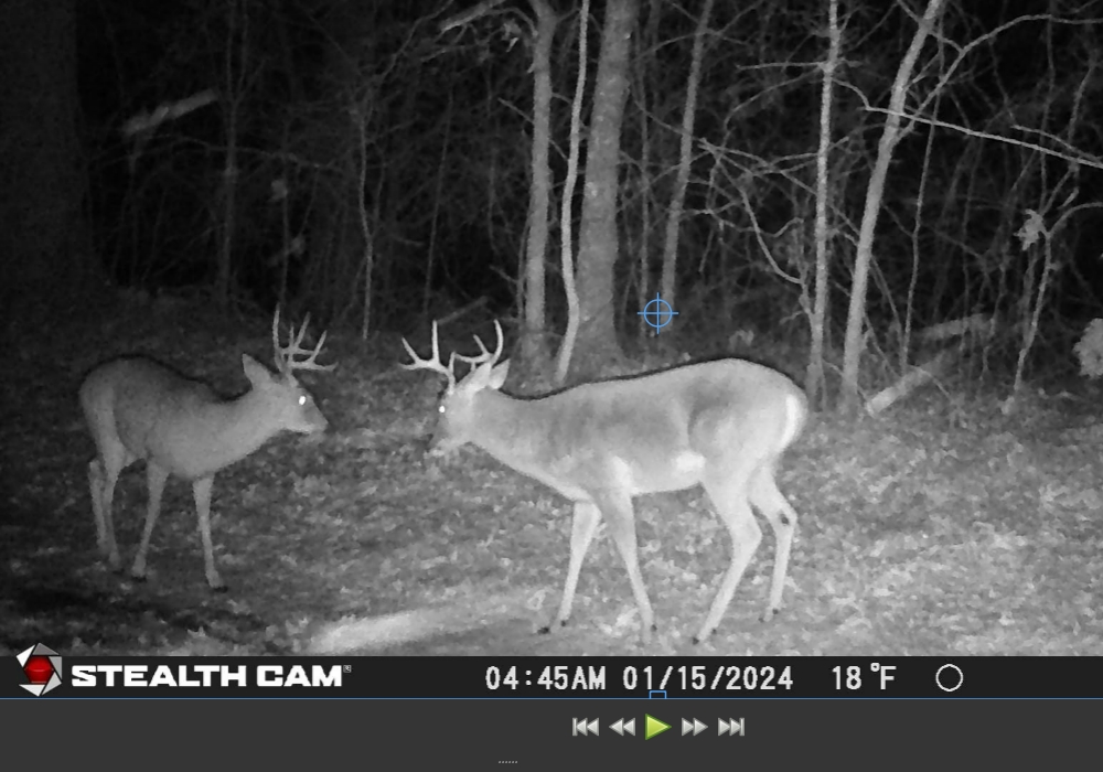 Game Cameras